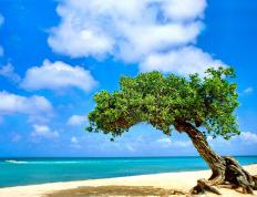 世俱杯2025-三笘薰一剑封喉，国际米兰铁血碾压，个体灵光与体系胜利的足球二重奏