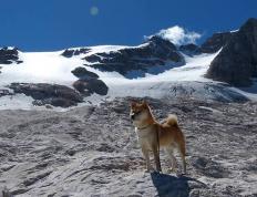世俱杯奖金-火力全开！范弗利特领军北京队强势压制爵士