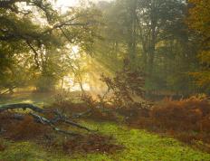 世俱杯-门迪立柱前展神威，韩国火力为何能掀翻巴斯克雄狮？