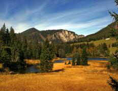 世俱杯赛程-39岁战神！詹姆斯率队客场逆转爵士，盐湖城见证不朽传奇