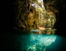 世俱杯2025-疾速狂飙，F1引擎轰鸣与拉文撕裂防线的速度共鸣