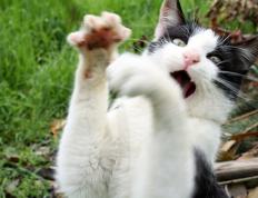 世俱杯参赛资格-逆境之战，从吉林加时苦胜到莫兰特抢七封神，英雄总在悬崖边诞生