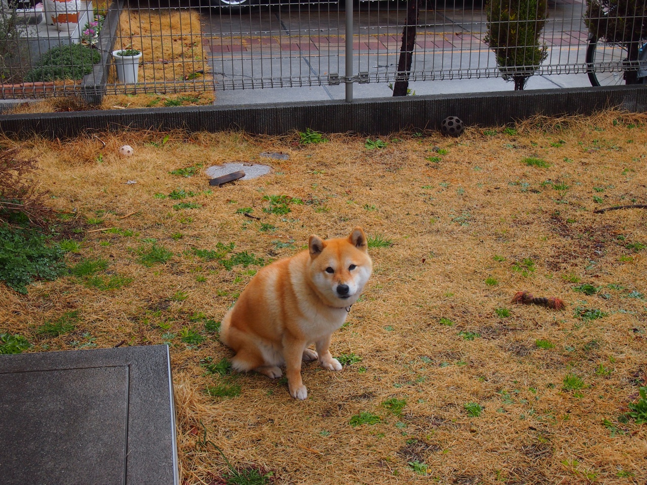 世俱杯赛程-雷霆防守锁死快船，西亚卡姆东决关键战接管比赛，季后赛的防守艺术与巨星闪耀
