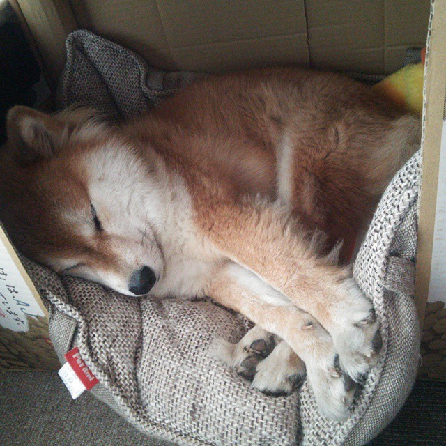 世俱杯2025-伦纳德赛后评分拉满,活塞收割老鹰,NBA赛场上的辉煌与策略