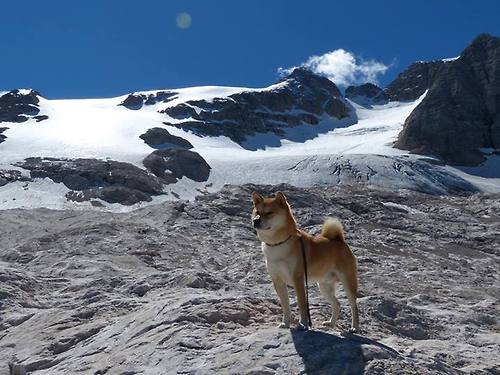 世俱杯奖金-火力全开！范弗利特领军北京队强势压制爵士