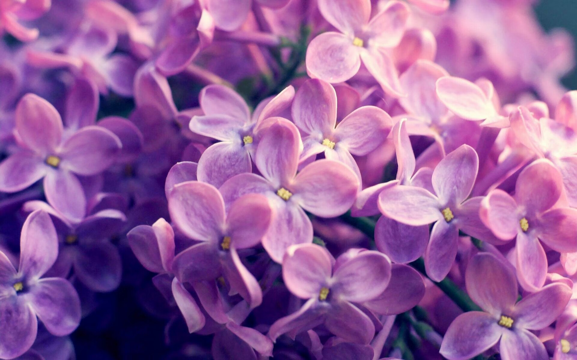 世俱杯赛程-国王淘汰赛惊险过关浙江队,拉文世界排名战独揽36分主宰赛场