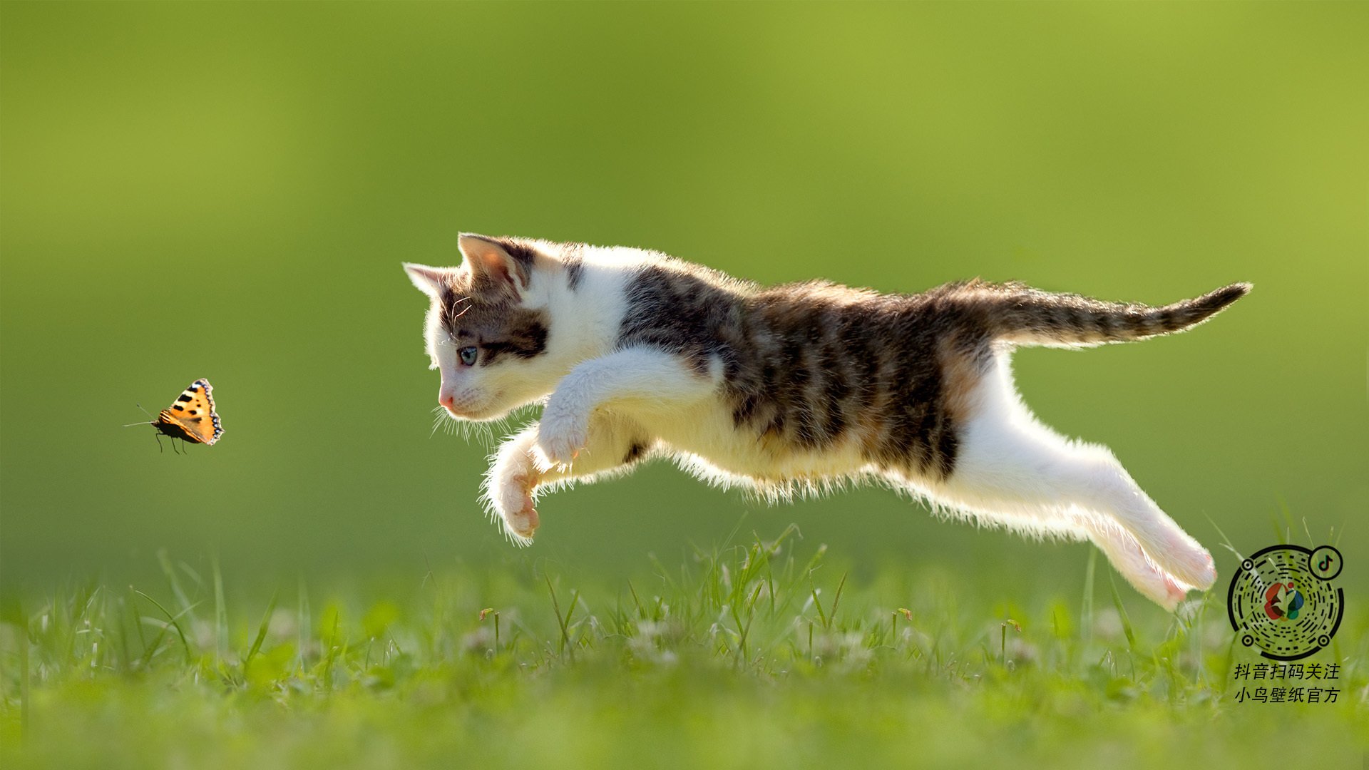 世俱杯赛程-季后赛抢七焦点战，乌拉圭压哨绝杀莱比锡红牛