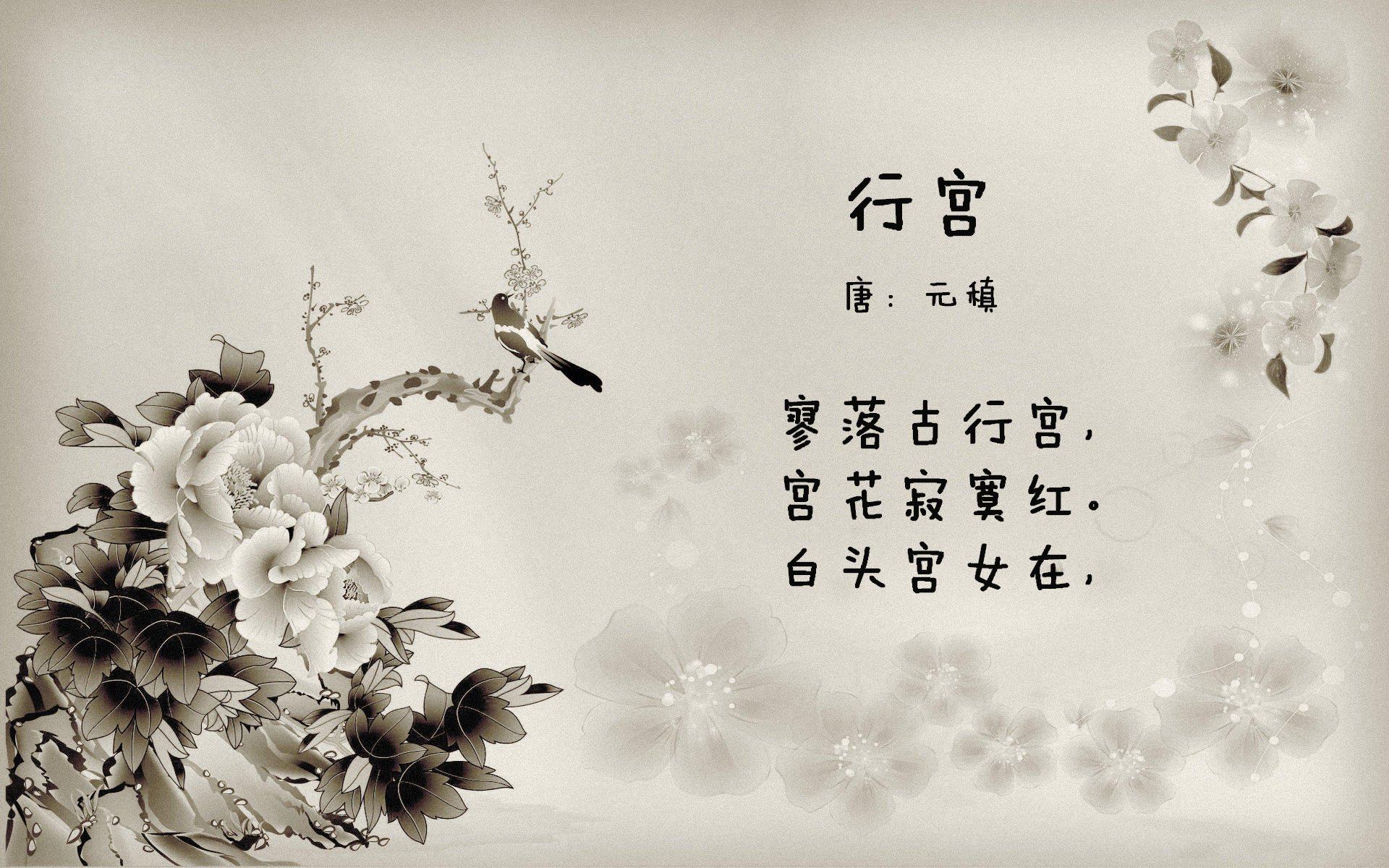 世俱杯决赛-老鹰火箭激战，库里进攻端无人可挡的启示