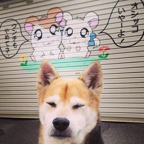 世俱杯改制-烽火索契,乌克兰对阵比利时之夜,罗德里高能输出改写战局